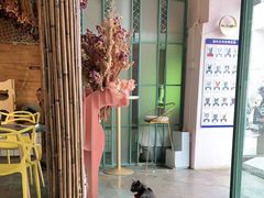 -喵屿·大理花园猫咖