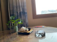 -成都蓝城悦杏温泉美食酒店(宽窄巷子店)