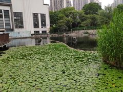 -苏州河梦清园环保主题公园