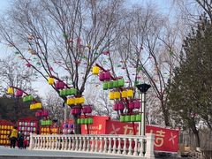 -青龙湖公园