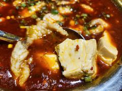 富顺豆花鱼-文记四川鱼馆(小纬北路店)