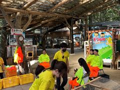 -宫城藏王狐狸村