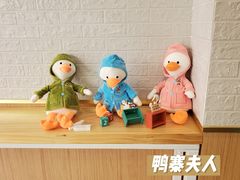 -鸭寨夫人(无锡首店)