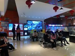 -华美国际影城(旧宫永辉店)