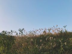 -田心森林公园