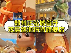 -泡泡玛特POPMART(正弘城店)