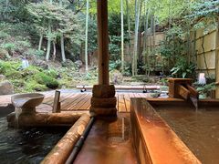 -有马温泉 竹取亭円山温泉旅馆