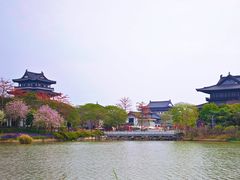 -海珠湖公园
