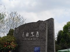 -秀丽东方