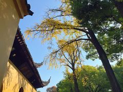 -西园戒幢律寺