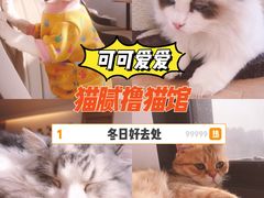 -猫腻·猫咖·撸猫馆(星光大道店)