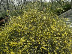 android_upload_pic-济南森林公园