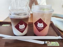 -有猫主题·治愈系猫咖(曾厝垵店)