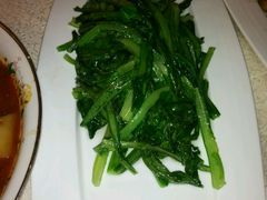 油麦菜-楼兰印象(朝外店)