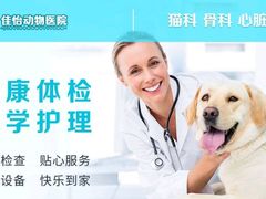 -佳怡动物医院·平价24小时·猫专科骨外科