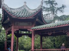 -桂湖森林公园