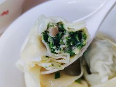 菜鲜肉大馄饨-小胖子馄饨店(洪兴路店)