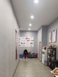 -单色舞蹈