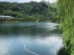 -天地生态农庄