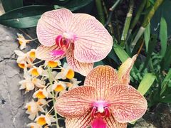 -南通洲际绿博园