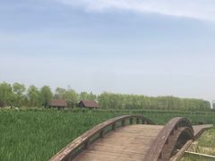 -永定河休闲森林公园