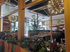 -原味四季椰子鸡(公明百佳华店)