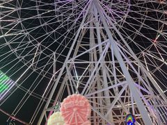 -南昌之星摩天轮