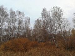 -塞罕坝国家级自然保护区