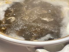 -爱膳菌锅锅(阳南店)