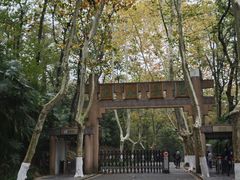 -灵谷景区