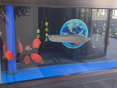 -康熙养生SPA·轻奢足道(江宁万达店)