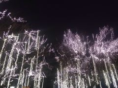 -大雁塔北广场音乐喷泉