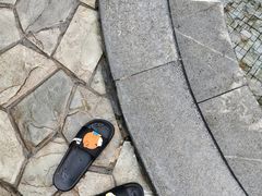 -盛泰恐龙谷温泉