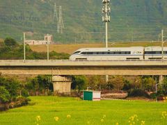 -光明小镇欢乐田园