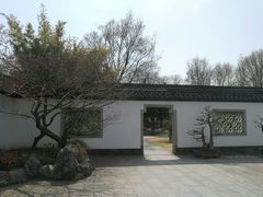 -杭州植物园