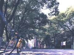 -中南财经政法大学(首义校区)