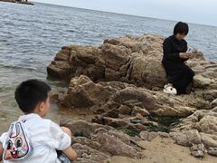 -北戴河碧螺塔海上酒吧公园