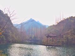 -宁海森林温泉