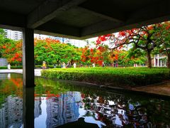 -缘生态云南菜·野生菌庭院餐厅(华侨城店)