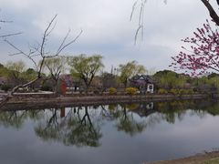 -无锡蠡湖国家湿地公园-蠡园