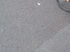 -北京厨房(SKP店)