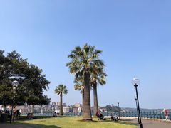 -悉尼歌剧院