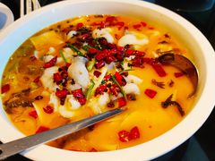 -金牌外婆家(苏州中心店)