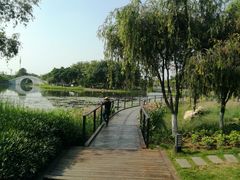 -映月湖公园
