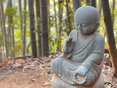 -中国花亭湖风景名胜区-西风禅寺