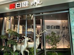 -新白鹿餐厅(城西银泰城店)
