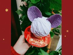 -野人先生现做冰淇淋(西安赛格店)