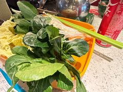 -润园四季椰子鸡火锅(海上世界店)