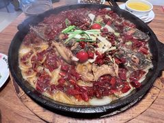 -老板恋上鱼(恒隆广场店)