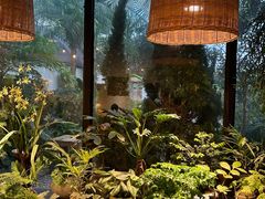 -自由生长植物工作室(深港花卉中心店)